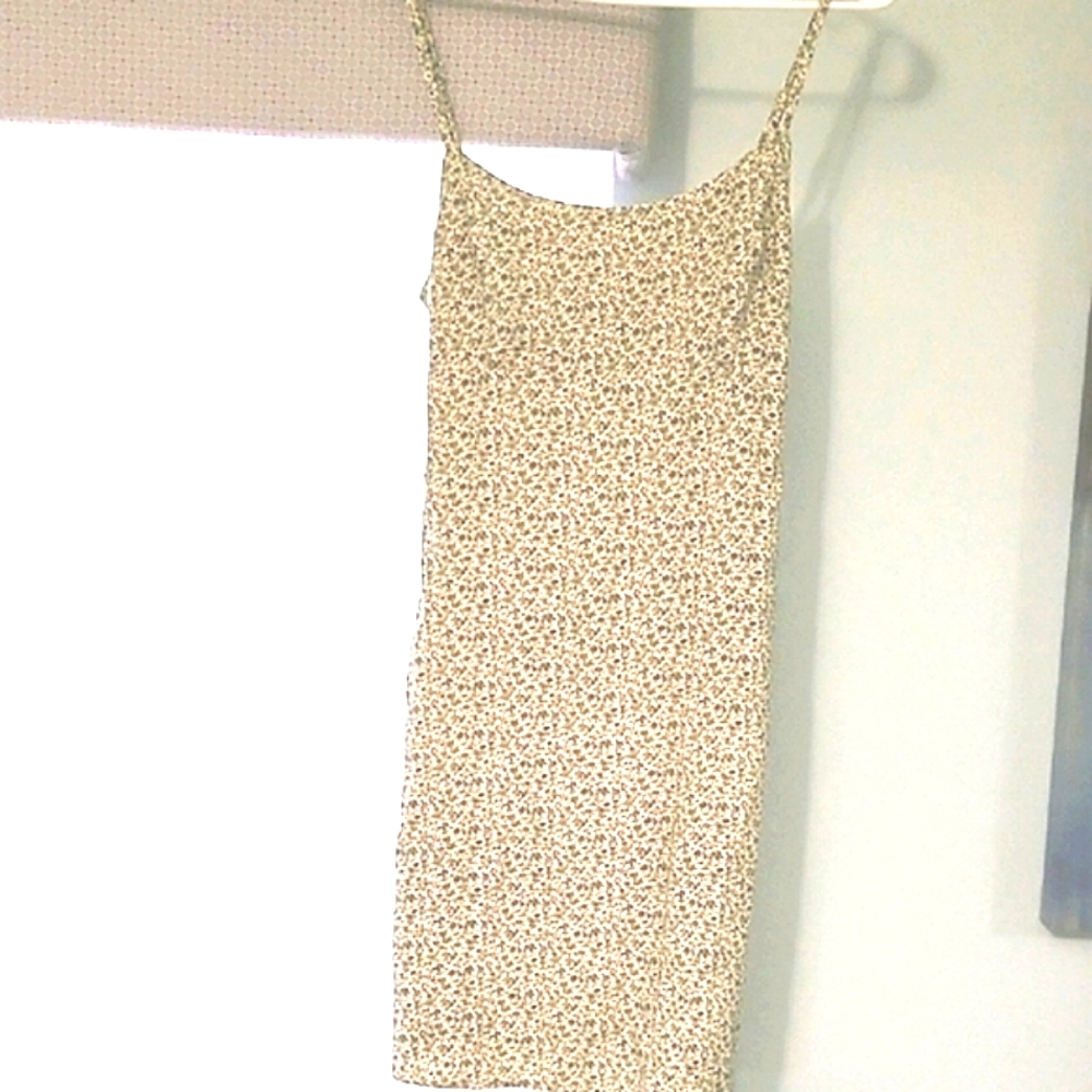 PacSun Floral Print Dress - Cream Colored With Blue Print